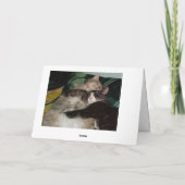 Carte de voeux Meow Cats 3 (Dos)