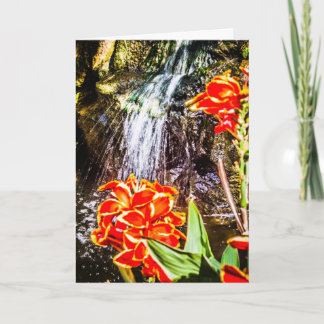 Carte de voeux Merci