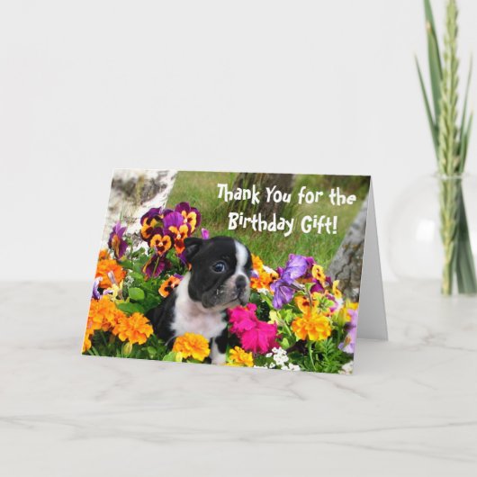 Carte de voeux Merci Boston Terrier (Devant)