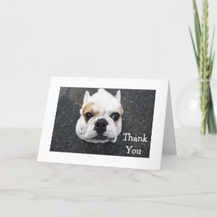 Carte de voeux Merci Bulldog - Verse cadeau