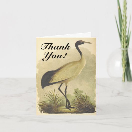 Carte de voeux Merci Oiseau Haut Standing (Devant)