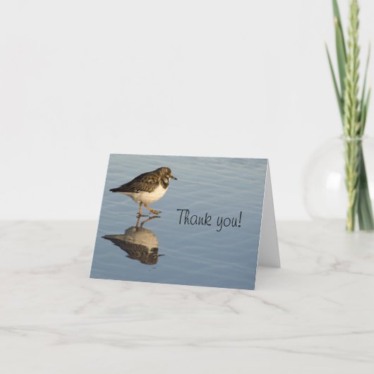 Carte de voeux Merci Oiseau Sandpiper (Devant)