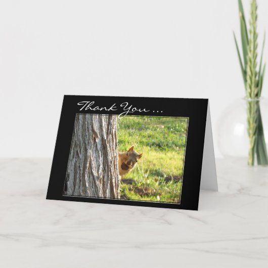 Carte de voeux Merci Squirrel (Devant)