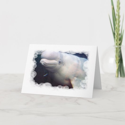 Carte de voeux mignonne de baleine de beluga (Devant)