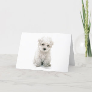 Carte de voeux mignonne de Bichon Frise