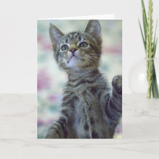 Carte de voeux mignonne de chaton (Devant)