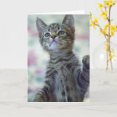 Carte de voeux mignonne de chaton (Fleur jaune)