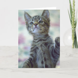 Carte de voeux mignonne de chaton