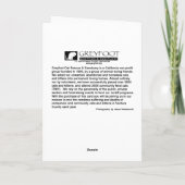 Carte de voeux mignonne de chatons du chat deux de (Dos)