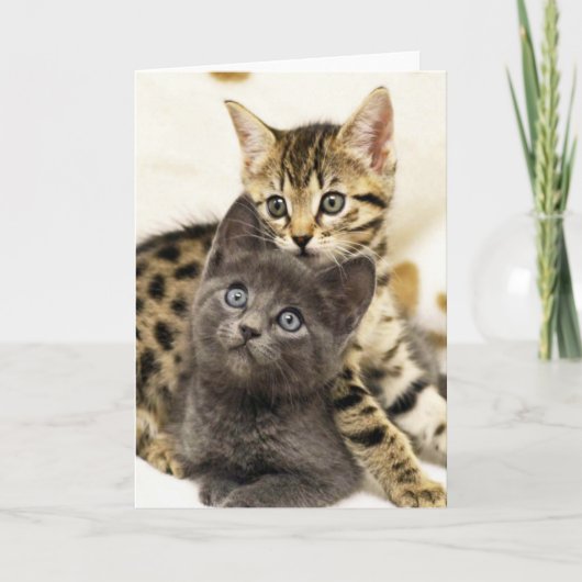Carte de voeux mignonne de chatons du chat deux de (Devant)