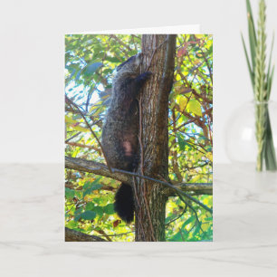 Carte de vœux mignonne pour dire Tu me manques