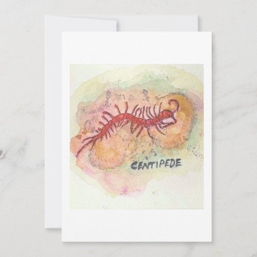 Carte de vœux mille-pattes (Devant)