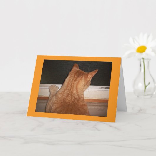 Carte de voeux Miss You (Petite plante)