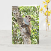 Carte de voeux Miss You (Fleur jaune)