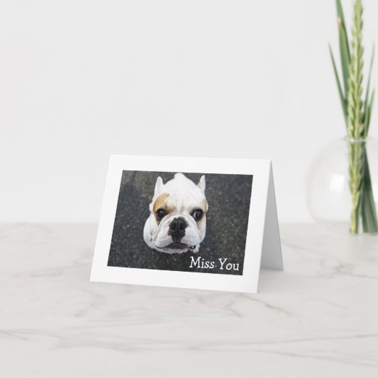Carte de voeux Miss You Bulldog - Verse (Devant)