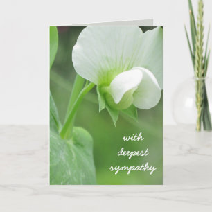Carte de voeux Modèle Sympathie pour les fleurs de
