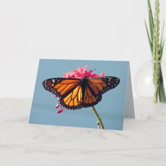 Carte de voeux Monarch Butterfly (Devant)