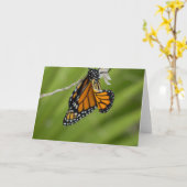 Carte de voeux Monarch Butterfly Blank (Fleur jaune)