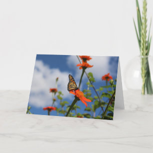 Carte de voeux Monarch papillon