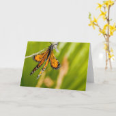 Carte de voeux Monarch Papillon Séchage ailes (Fleur jaune)