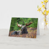 Carte de voeux Moose (Fleur jaune)