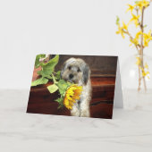 Carte de voeux Morkie (Fleur jaune)