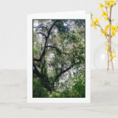 Carte de voeux Moss Canopy (Fleur jaune)