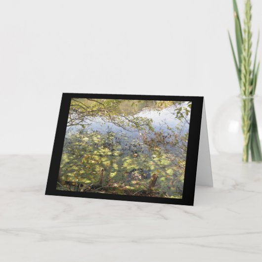 Carte de voeux Mossy Pond (Devant)