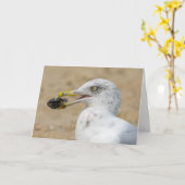 Carte de voeux - Mouette avec moules (Fleur jaune)
