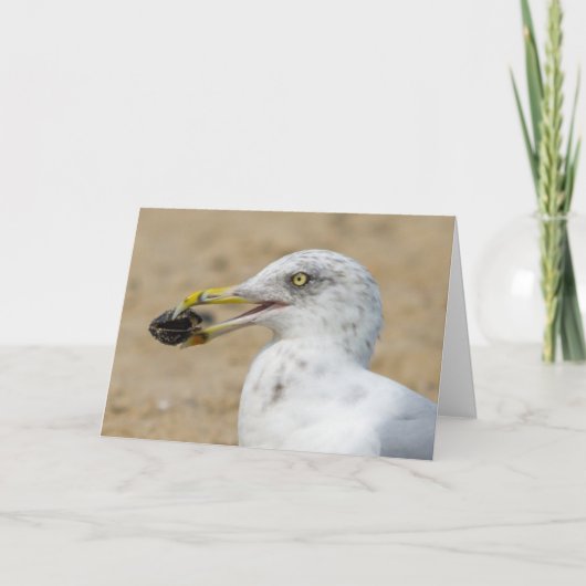 Carte de voeux - Mouette avec moules (Devant)