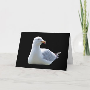 Carte de vœux Mouette – Oiseau Mouette Côtière