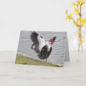Carte de voeux Muscovy Duck Waving Wings (Fleur jaune)