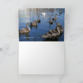 Carte de voeux Mute Swan Family (Intérieur)