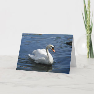 Carte de voeux Mute Swan Family