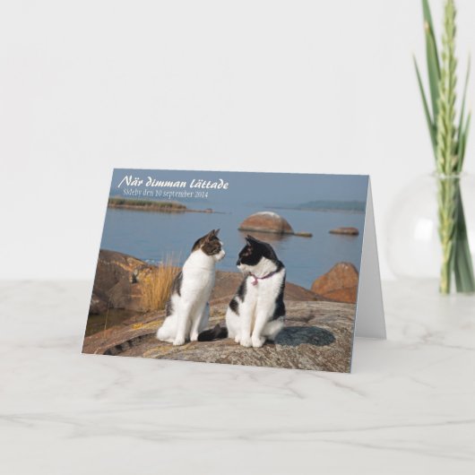 Carte de voeux När dimman lättade CC0548 Sideby (Devant)