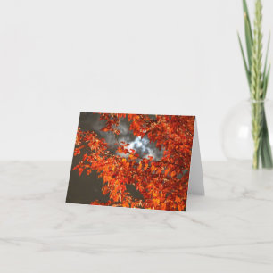 Carte de voeux nocturne d'Halloween