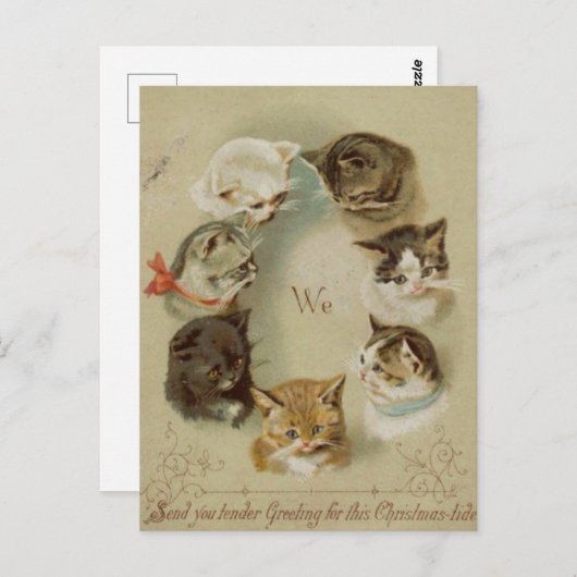 Carte de voeux Noël chats (Devant / Derrière)