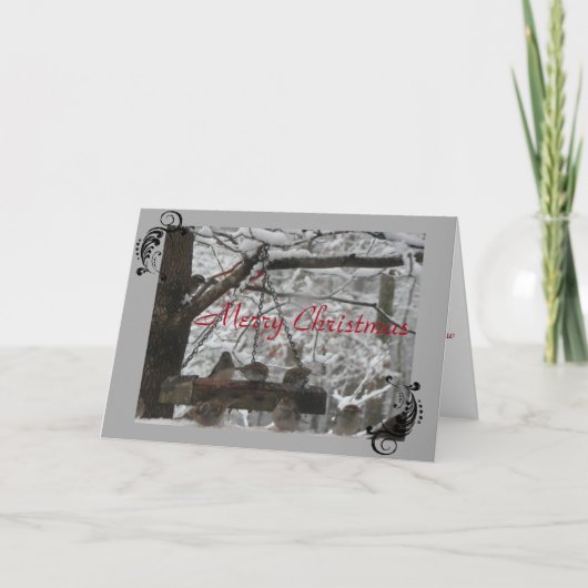 Carte de voeux - Noël - FeatheredFriends (Devant)