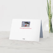carte de voeux noël kitten (Dos)