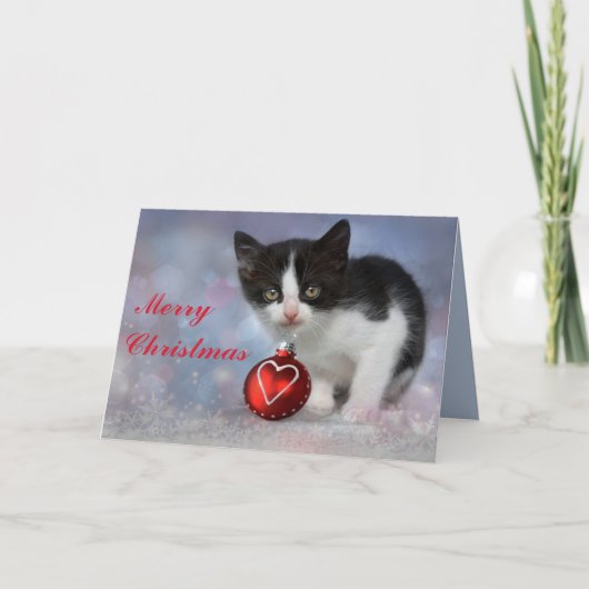 carte de voeux noël kitten (Devant)
