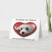 Carte de voeux/Noël maltais Snowdrop (Dos)