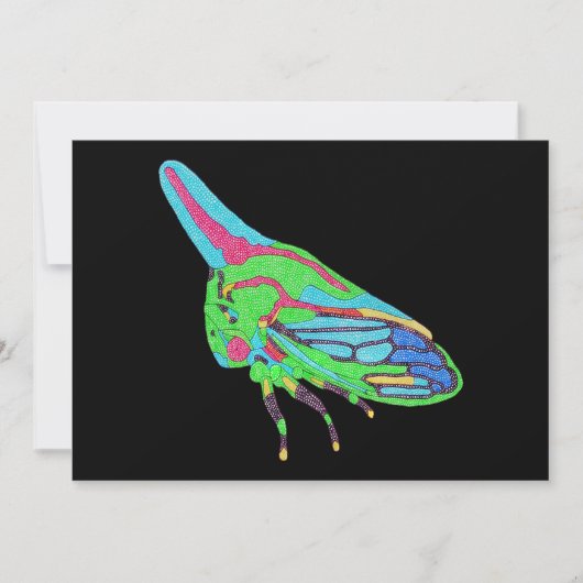 Carte de vœux (noir simple) - Sauterelle de chêne (Devant)