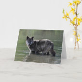 Carte de voeux noire de loup (Fleur jaune)