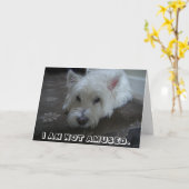 Carte de voeux non amusée de photo de Westie (Fleur jaune)