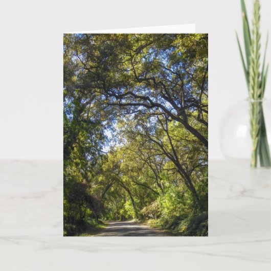 Carte de voeux NorCal Nature : Carte Valley Oaks (Devant)