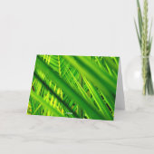 Carte de voeux (nouvel arrivant) (Dos)