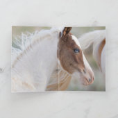 Carte de voeux Nuzzle Wild Horse (Intérieur)