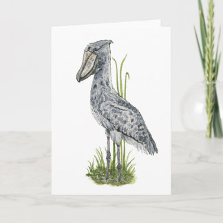 Carte de vœux oiseau bec-en-sabot