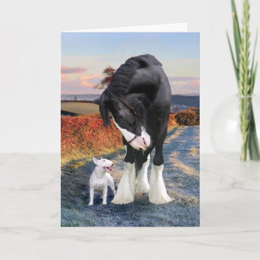 Carte de voeux "Ollie & Blackbird" (Devant)