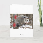 Carte de voeux Opossum Nature (Dos)